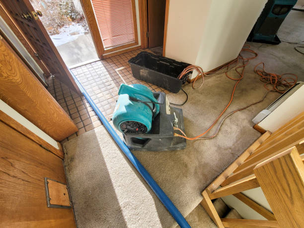 Best 24/7 water damage repair  in Jarrell, TX