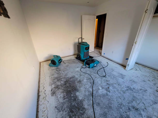 Best Flooded house restoration  in Jarrell, TX