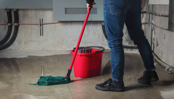 Best Basement water damage restoration  in Jarrell, TX
