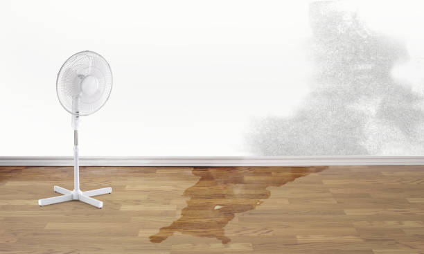 Trusted Jarrell, TX Water damage restoration Experts