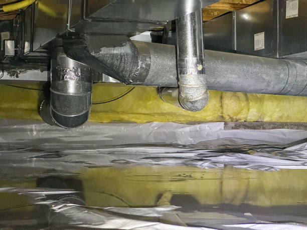 Carpet water damage restoration in Jarrell, TX