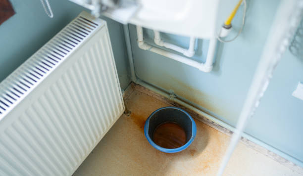 Best Water damage cleanup near me  in Jarrell, TX