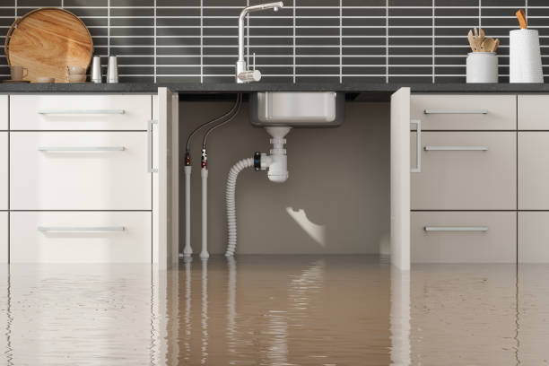 Best Water damage contractors near me  in Jarrell, TX