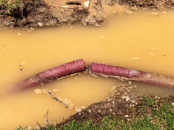 Best Water damage restoration near me  in Jarrell, TX