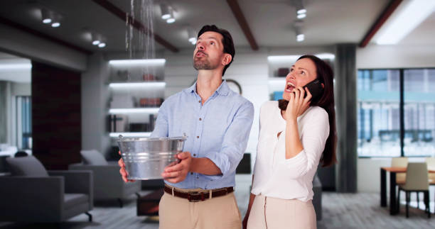 Best Local water damage restoration  in Jarrell, TX