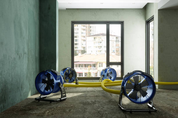 Best Water damage restoration near me  in Jarrell, TX